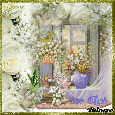 FLEURS DE MAI