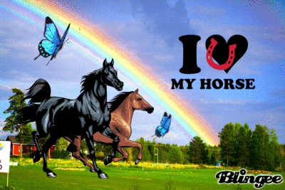 Horses Rock!!