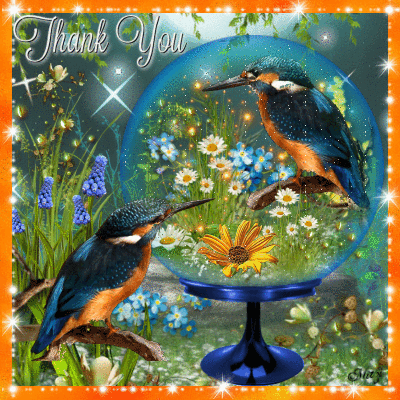 Thank You My Dear Friends!