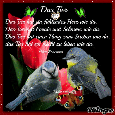 Ich Denk An Dich Spruche Animated Pictures For Sharing 132487238 Blingee Com