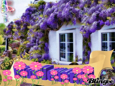 Buon Sabato Animated Picture Codes And Downloads 132540584 803344972 Blingee Com