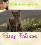 best friends