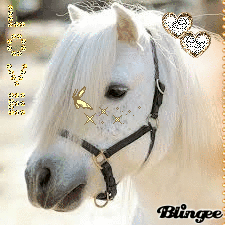 Cheval Trop Chou Pictures P 1 Of 2 Blingee Com Poslednie tvity ot mignon(ミニョン)@gw新刊＆抱き枕(5/5〆)予約開始 (@mignon). blingee com