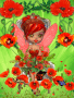 poppy fairy