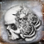 skulls 