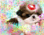 Puppy Blingee