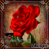 Red roses