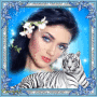 Cassy61 Cassy61