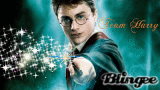 Team Harry Blingee