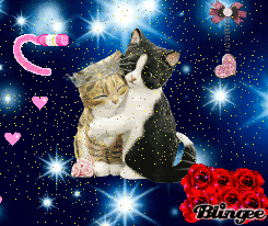 Https Encrypted Tbn0 Gstatic Com Images Q Tbn 3aand9gcqtm0tsfdopb6o8p80srbyq 9nv9z6i336d8q Usqp Cau