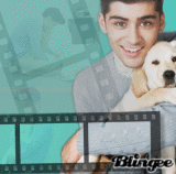Zayn Malik