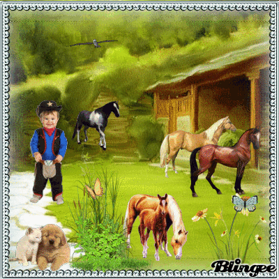 meine pferderanch meine pferderanch