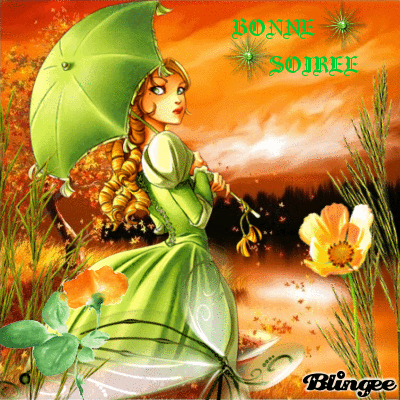 BONNE SOIREE BONNE SOIREE