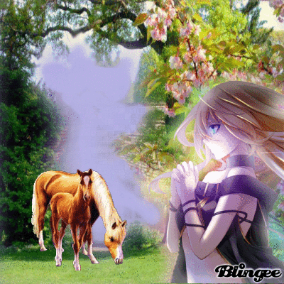 Dans la prairie