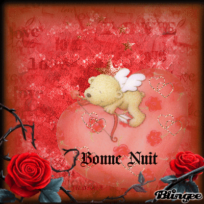 **bonne nuit"♥