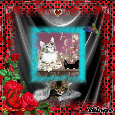 Love.....Cats