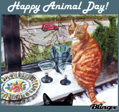 Happy Animal Day Happy Animal Day