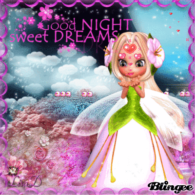 Bonne Nuit - Good Night