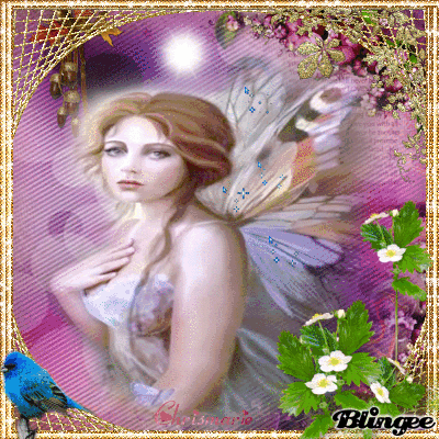 La petite fee papillon