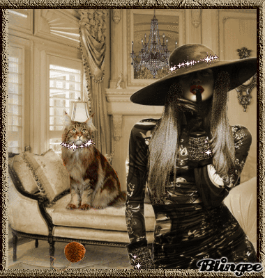 Classy Lady Classy Lady