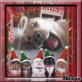 Joyeux Noël Joyeux Noël