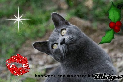 bon week end chat bon week end chat