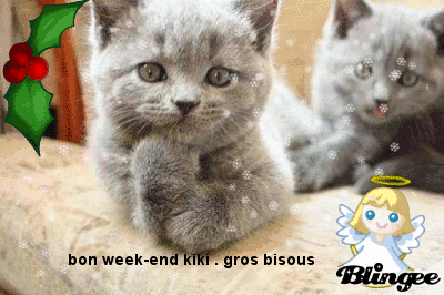 bon week end chat 2 bon week end chat 2