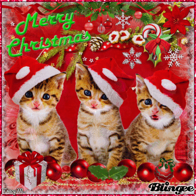 Christmas Kittens Animated Pictures for Sharing #133809361 ...