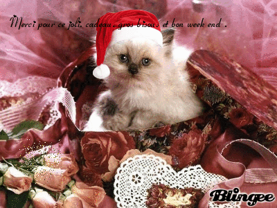 Graphiques animés scintillants