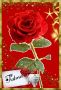 fatma48 fatma48