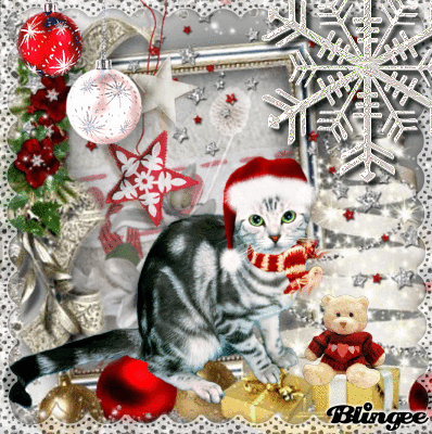 » Cαт « » Cαт «