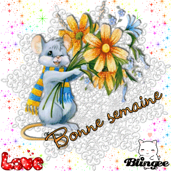 bonne semaine souris bonne semaine souris