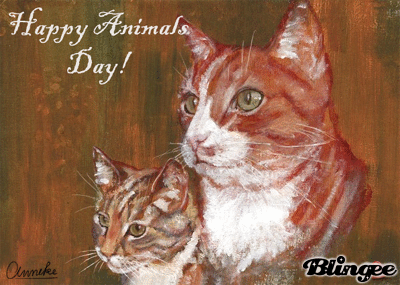 animal's day animal's day