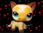 lps_4_ever_oxox lps_4_ever_oxox