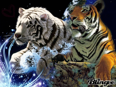 Tigres