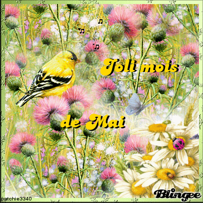 JOLI MOIS DE MAI