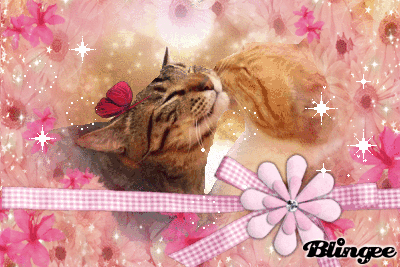 ミントちゃん&ソラちゃん ミントちゃん&ソラちゃん