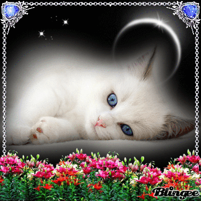 Https Encrypted Tbn0 Gstatic Com Images Q Tbn 3aand9gcsg428eaj0avt0aa1yaxzvkvkisgijnrlw3luqadvacnl 0ymu6