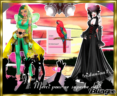 Défi JJac et tristaniaa1 Juillet 2014