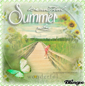 beautiful summer