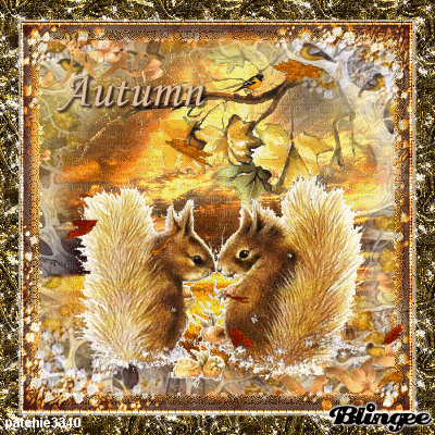 AUTOMNE VINTAGE AUTOMNE VINTAGE