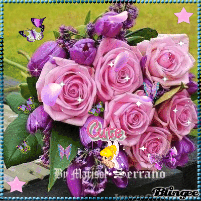 Roses Roses