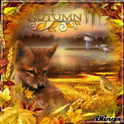 coucher de soleil en automne coucher de soleil en automne