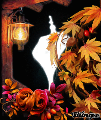 amour d'automne amour d'automne