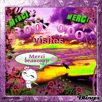 MERCI POUR CES 300 000 VISITES