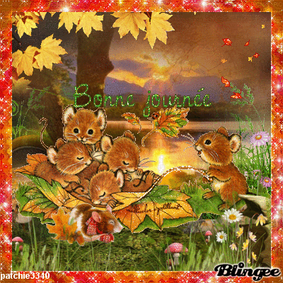 BONNE JOURNEE