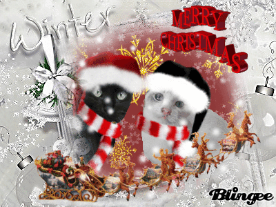 クロくん　てんてんちゃん