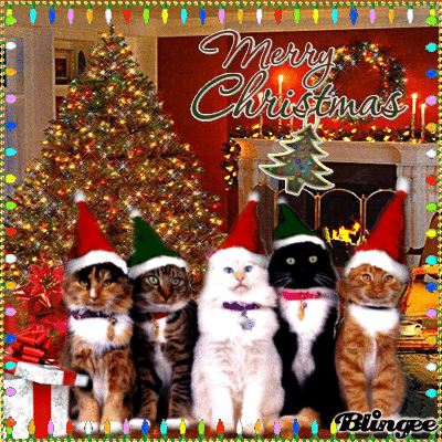 X'mas Cat II