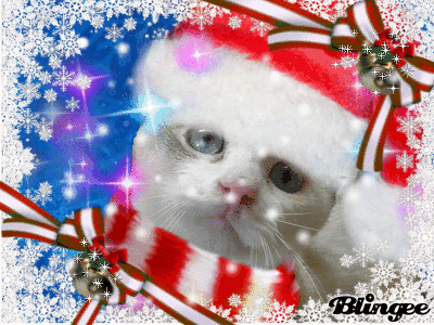 てんてんちゃん