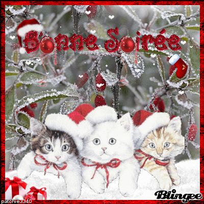 http://image.blingee.com/images19/content/output/000/000/000/80a/829021432_773880.gif